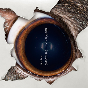 找个老淑女泻火视频
