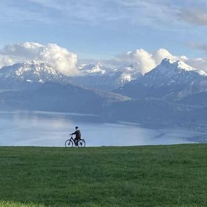 找个老淑女泻火视频
