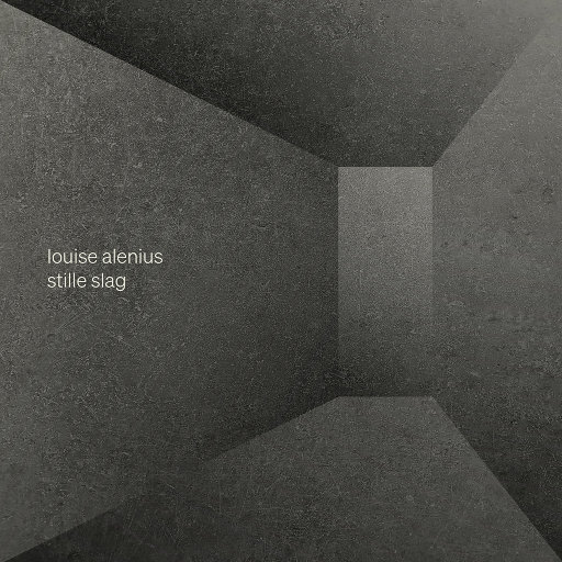 找个老淑女泻火视频
